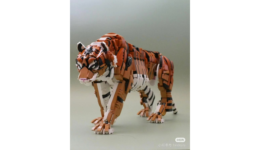 Reference image 1